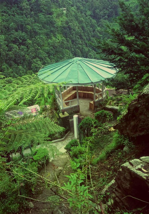 Enchanted Forest Farmstay Gangtok Extérieur photo