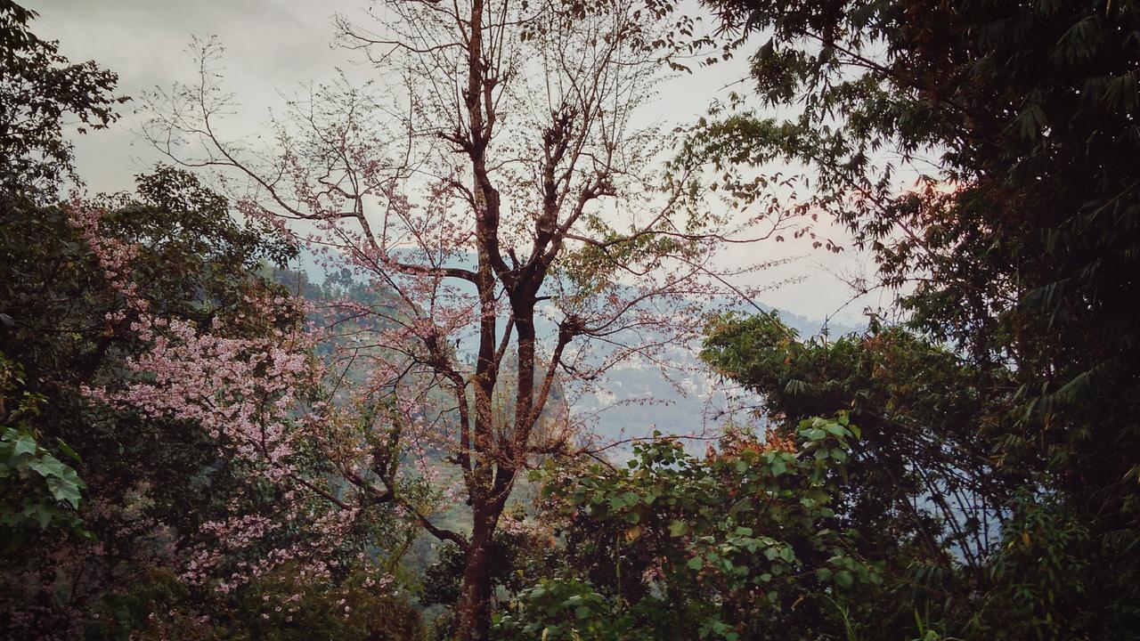 Enchanted Forest Farmstay Gangtok Extérieur photo