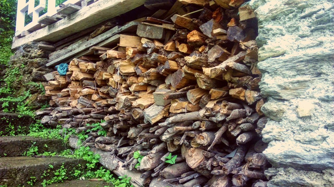 Enchanted Forest Farmstay Gangtok Extérieur photo