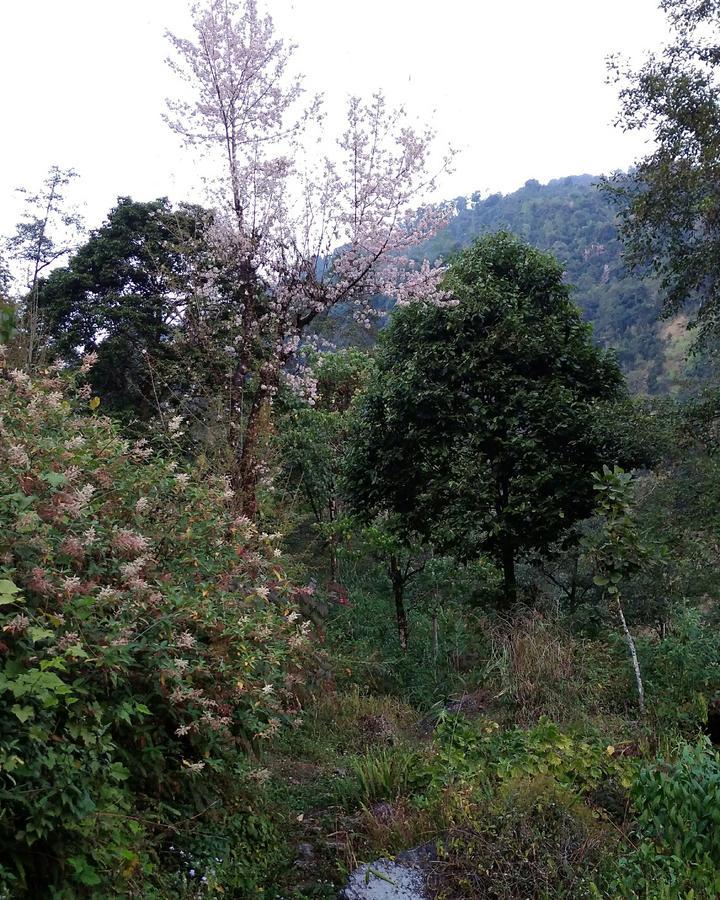 Enchanted Forest Farmstay Gangtok Extérieur photo
