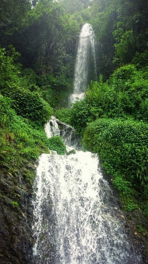 Enchanted Forest Farmstay Gangtok Extérieur photo