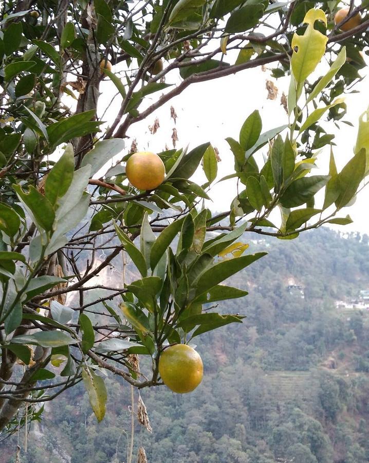 Enchanted Forest Farmstay Gangtok Extérieur photo