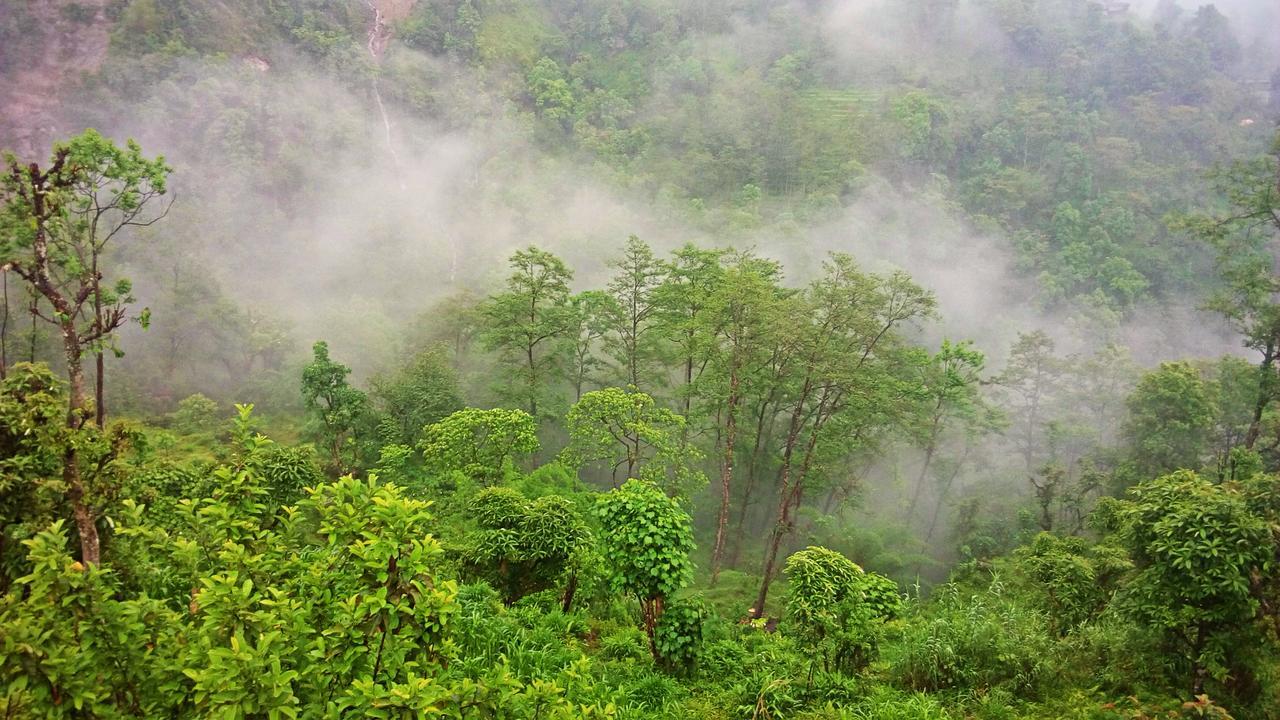 Enchanted Forest Farmstay Gangtok Extérieur photo