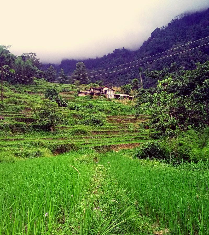 Enchanted Forest Farmstay Gangtok Extérieur photo