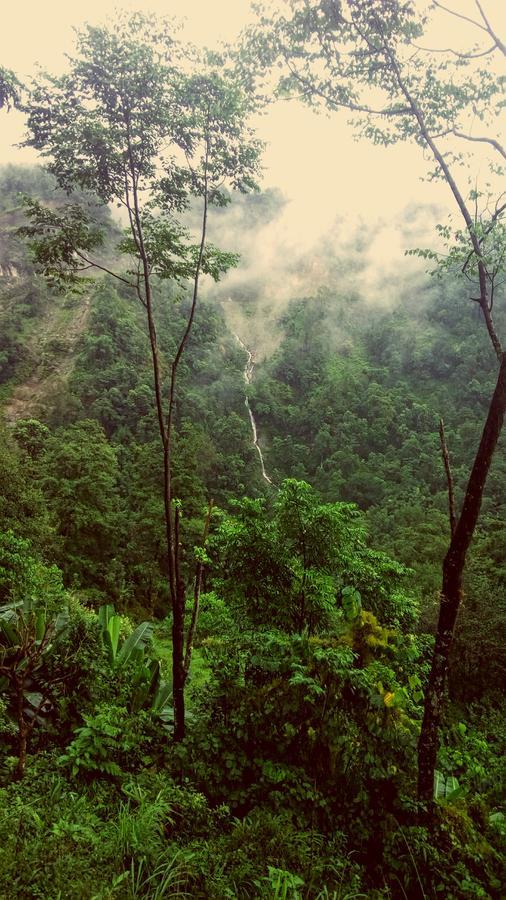 Enchanted Forest Farmstay Gangtok Extérieur photo