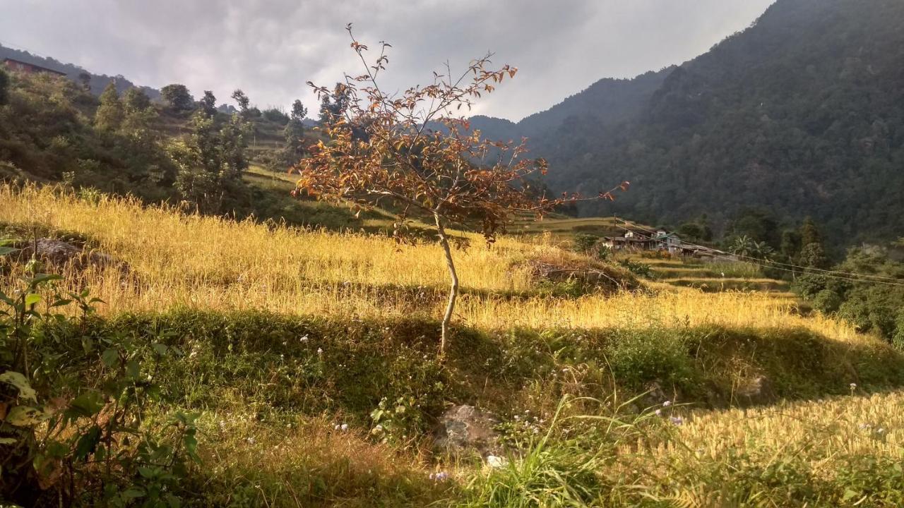 Enchanted Forest Farmstay Gangtok Extérieur photo