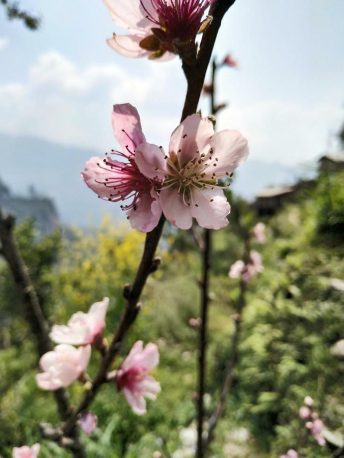 Enchanted Forest Farmstay Gangtok Extérieur photo