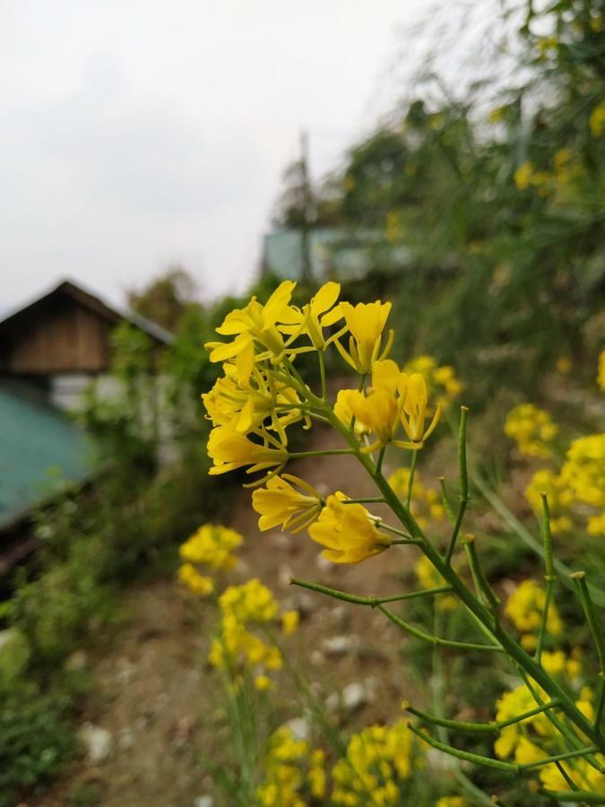 Enchanted Forest Farmstay Gangtok Extérieur photo