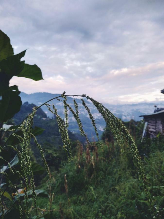 Enchanted Forest Farmstay Gangtok Extérieur photo