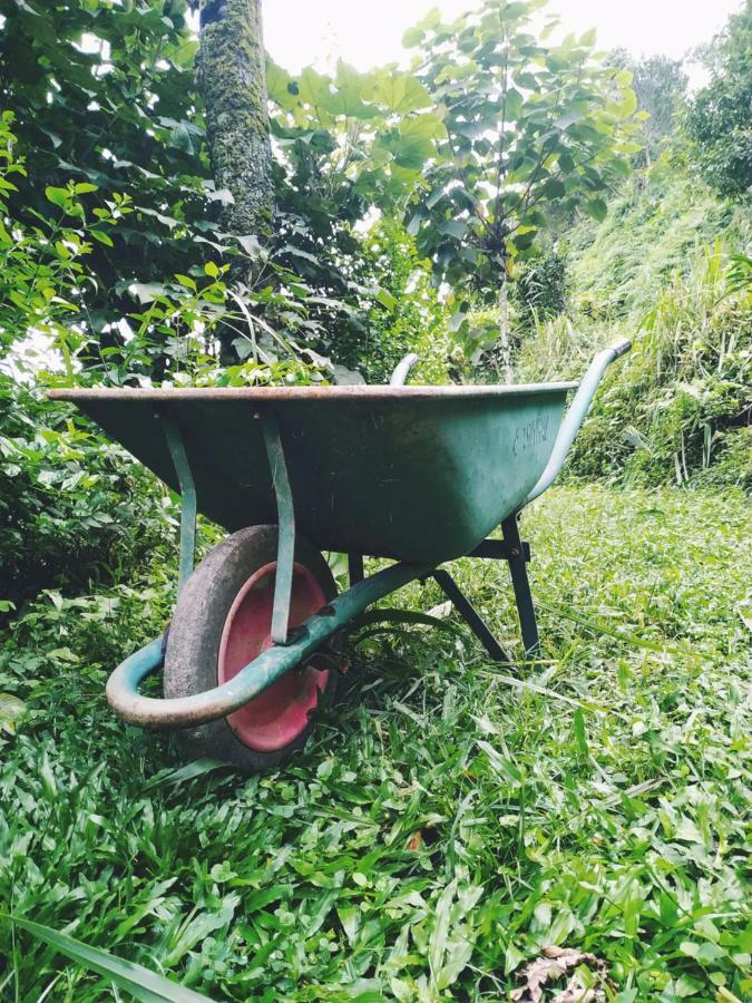 Enchanted Forest Farmstay Gangtok Extérieur photo